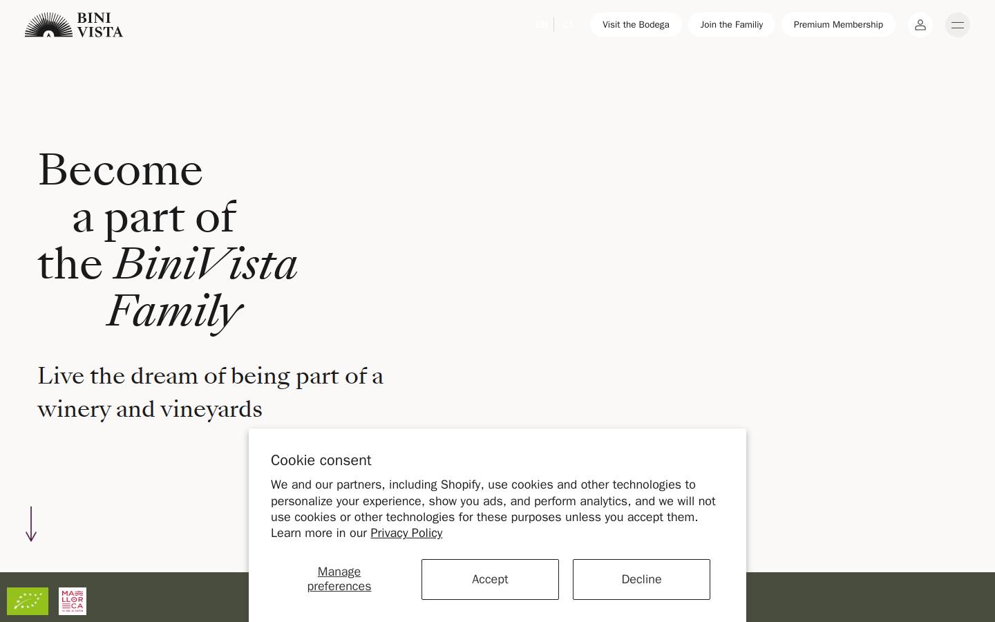 Binivista homepage screenshot