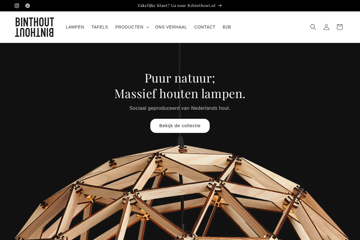Binthout homepage screenshot