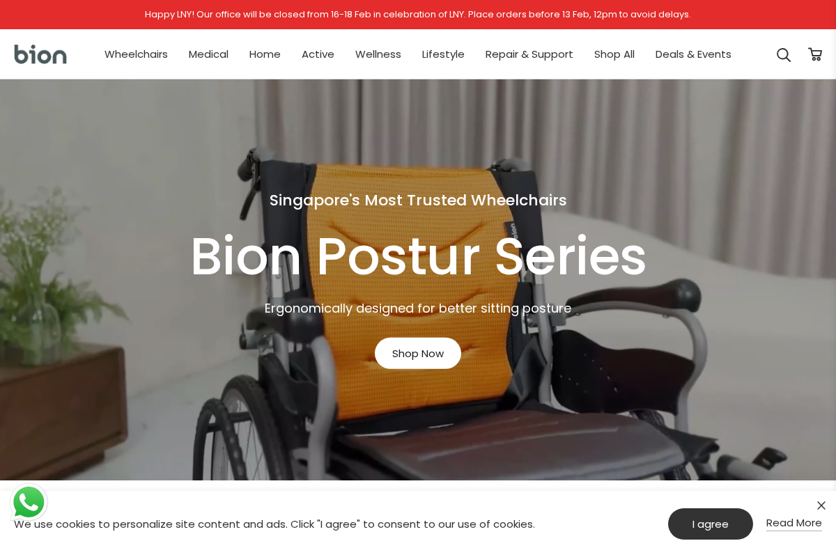 Bion SG homepage screenshot