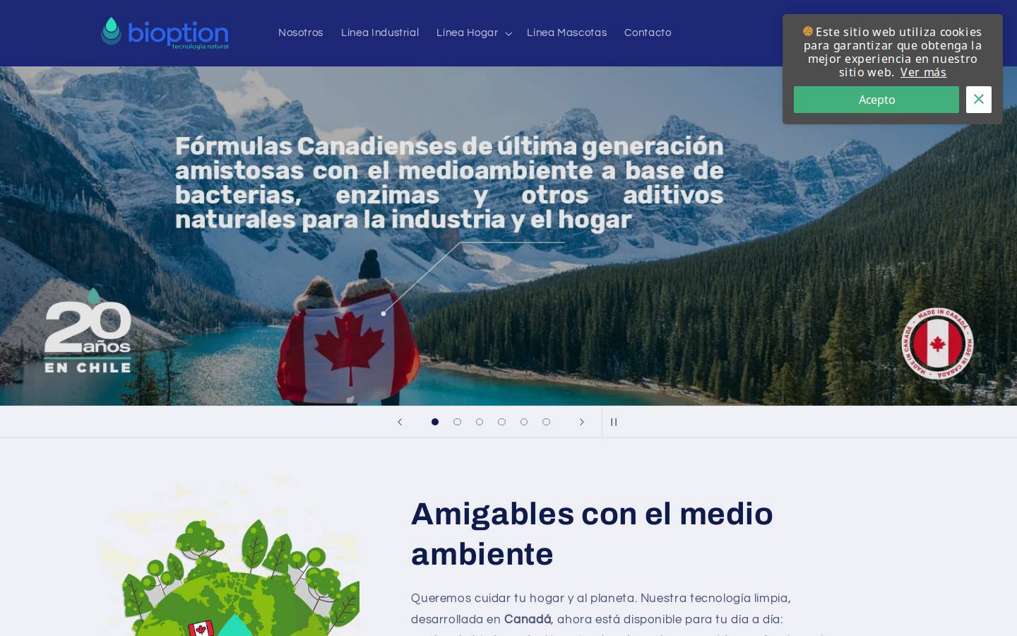 bioption.cl homepage screenshot
