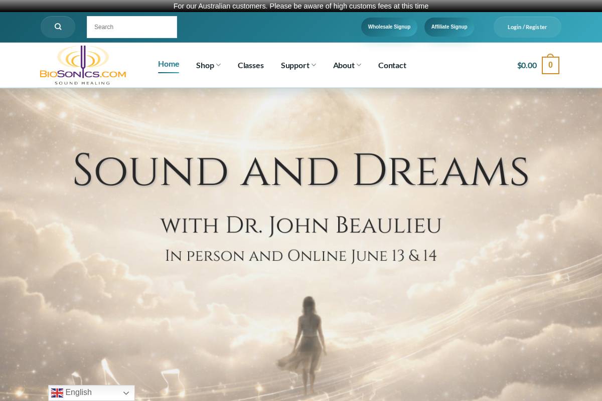 BioSonic Sound Healing Enterprises homepage screenshot