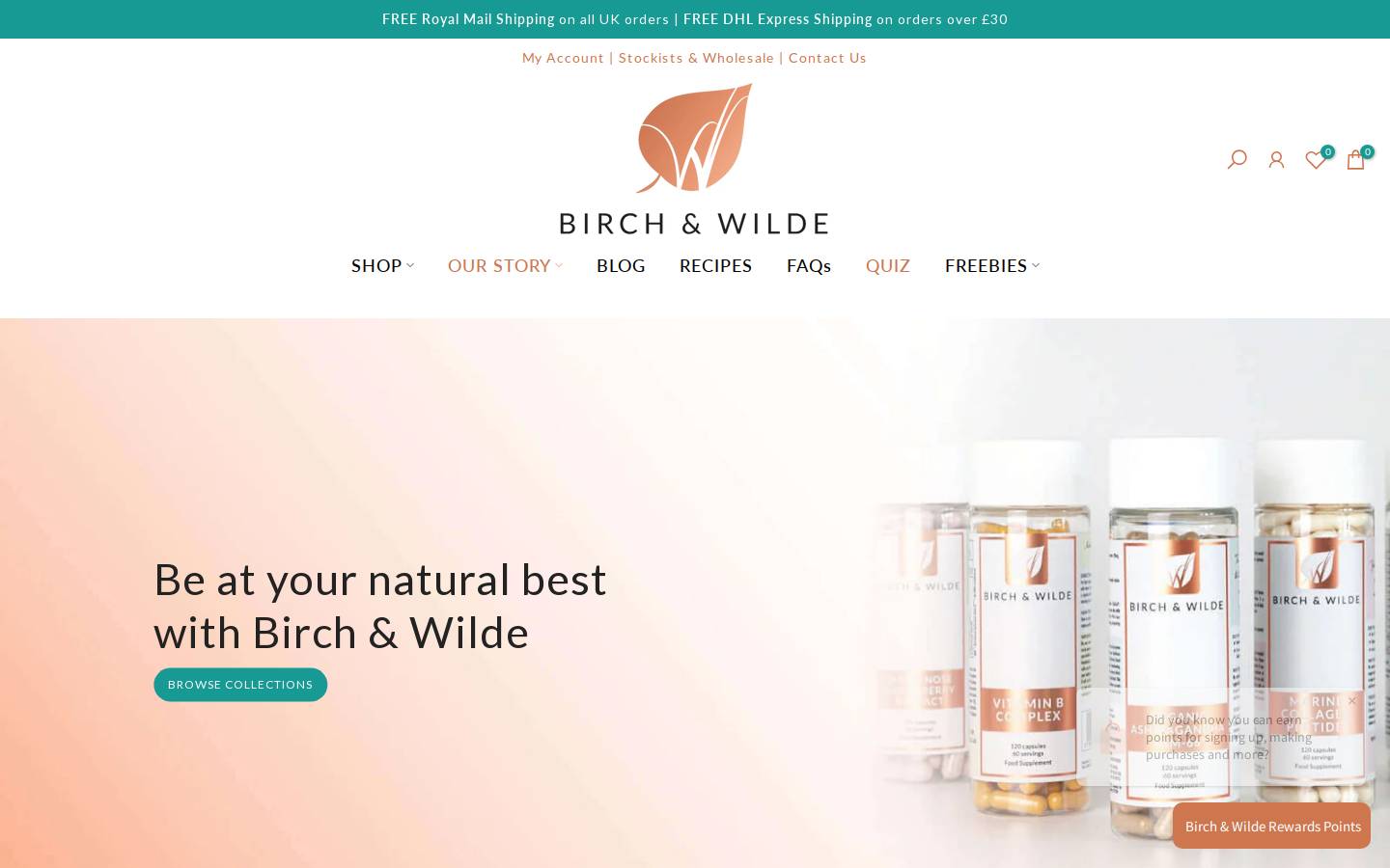 birchandwilde.com homepage screenshot