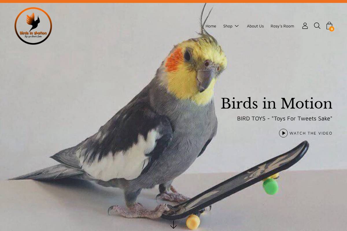 birdsinmotion.ca homepage screenshot
