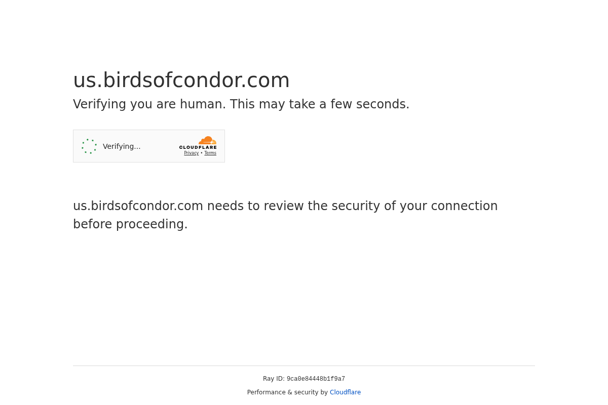 birdsofcondor.com homepage screenshot