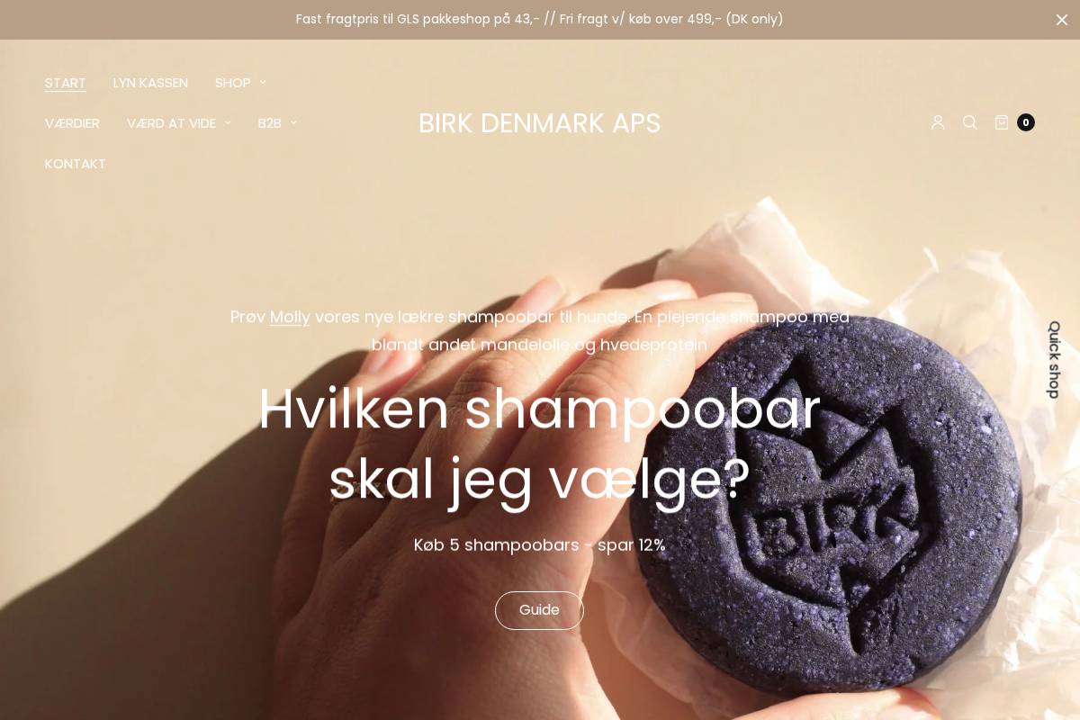 Birk Denmark ApS homepage screenshot