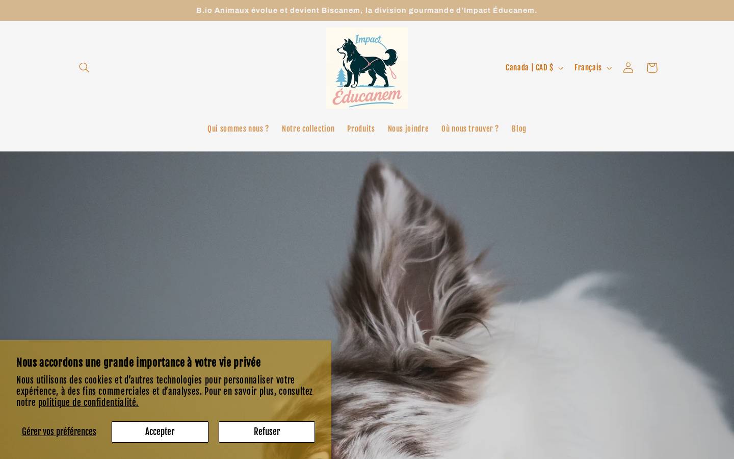 biscanem.ca homepage screenshot