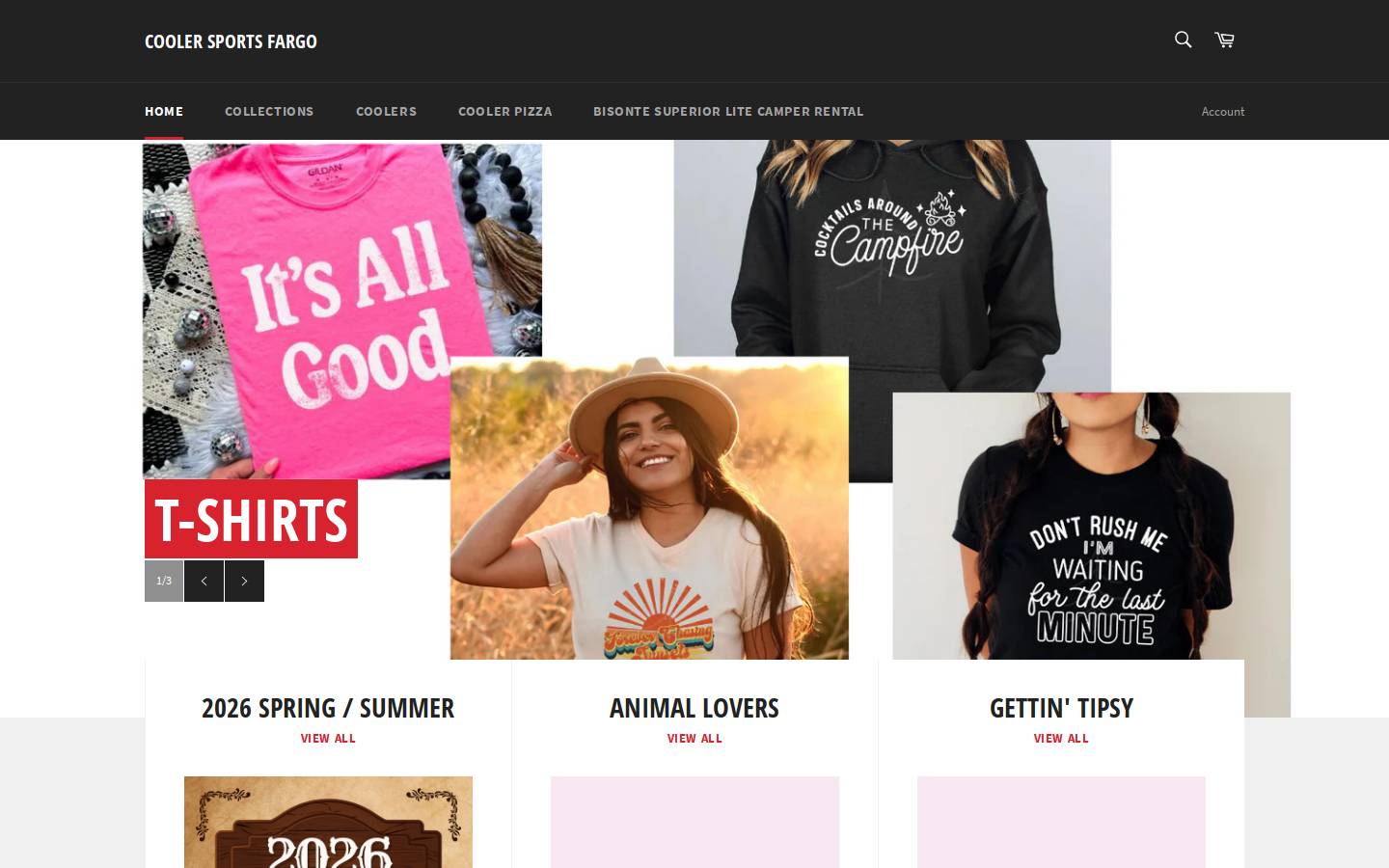 bisoncoolersfargo.com homepage screenshot