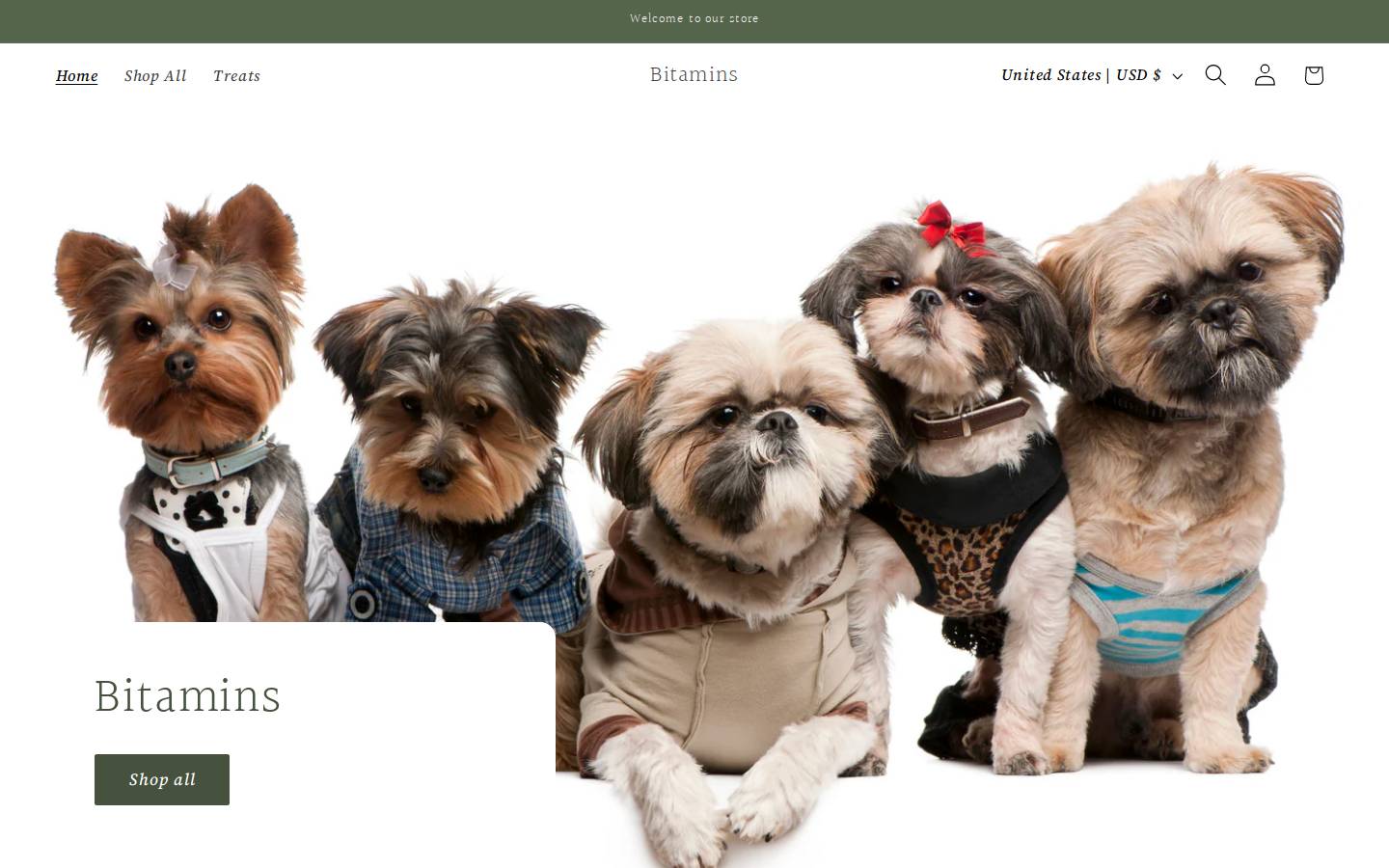 bitaminspets.com homepage screenshot