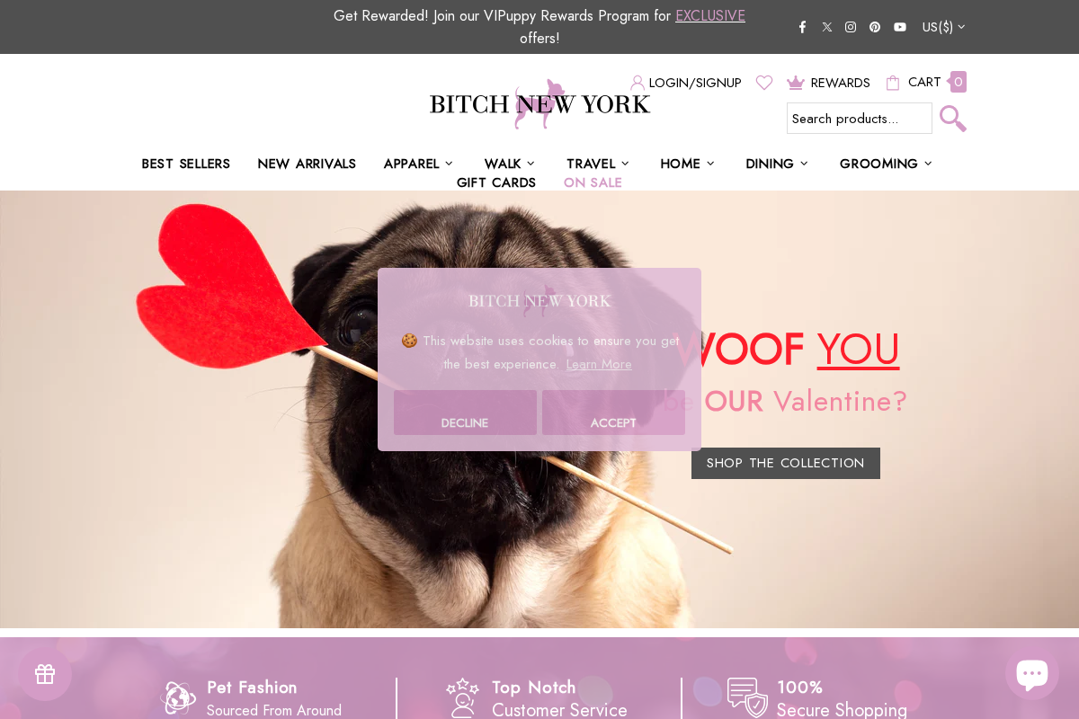 Bitch New York homepage screenshot