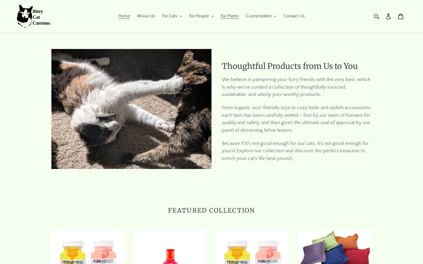 biteycatcustoms.com homepage screenshot