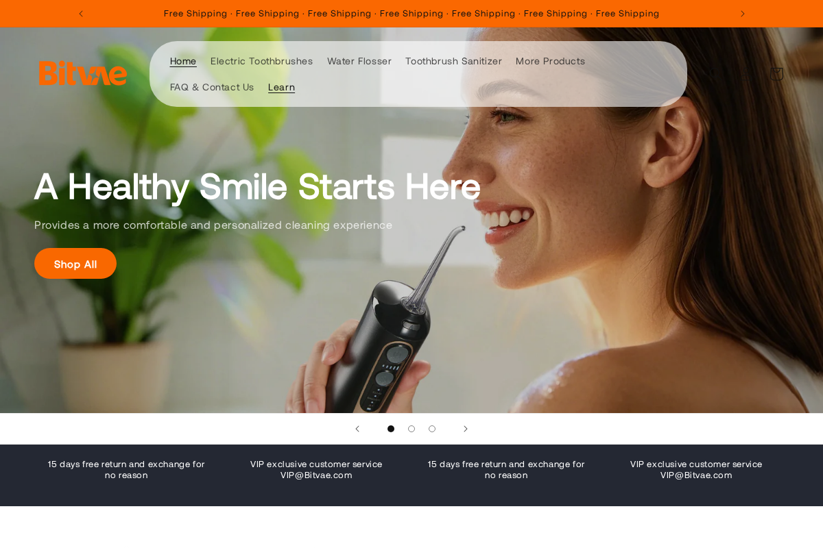 Bitvae homepage screenshot