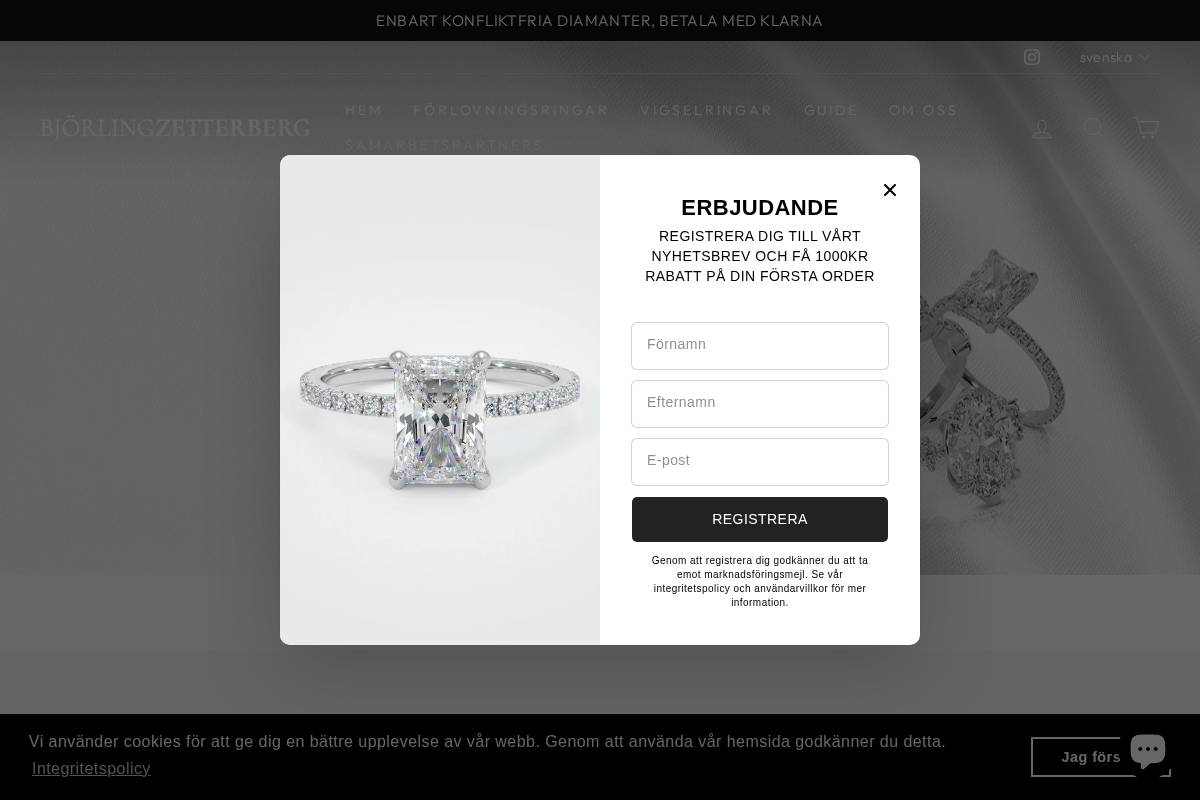 bjorlingzetterberg.se homepage screenshot