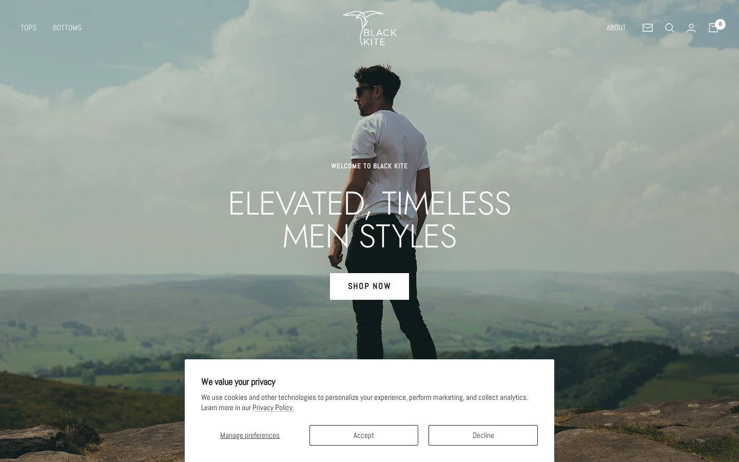 blackkite.com homepage screenshot