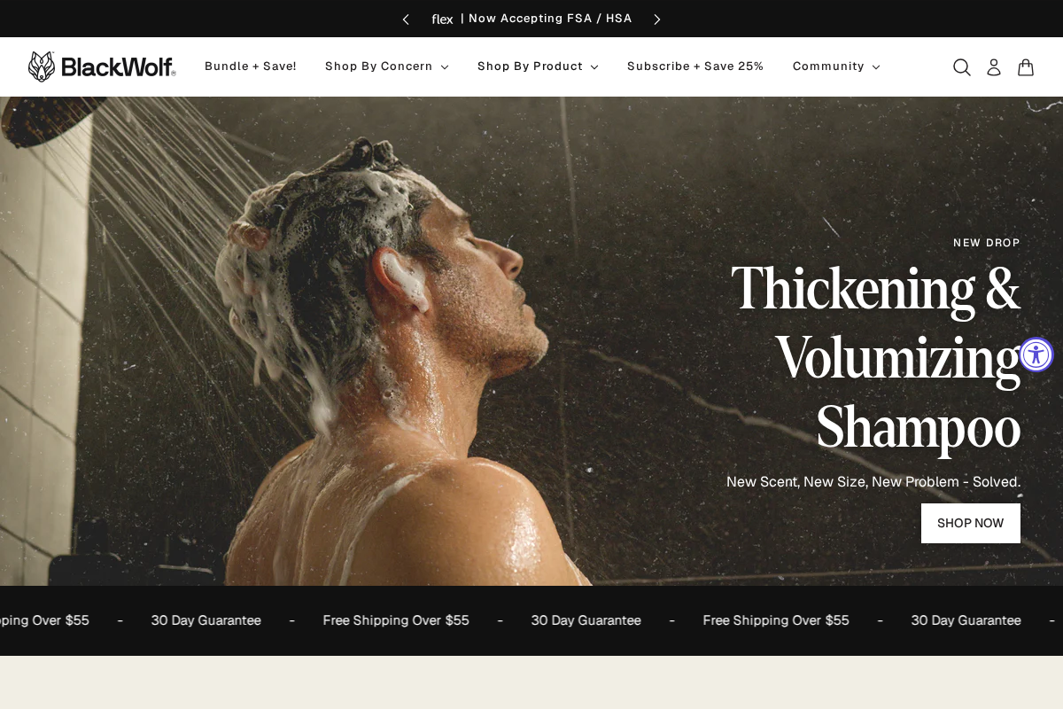 Black Wolf homepage screenshot