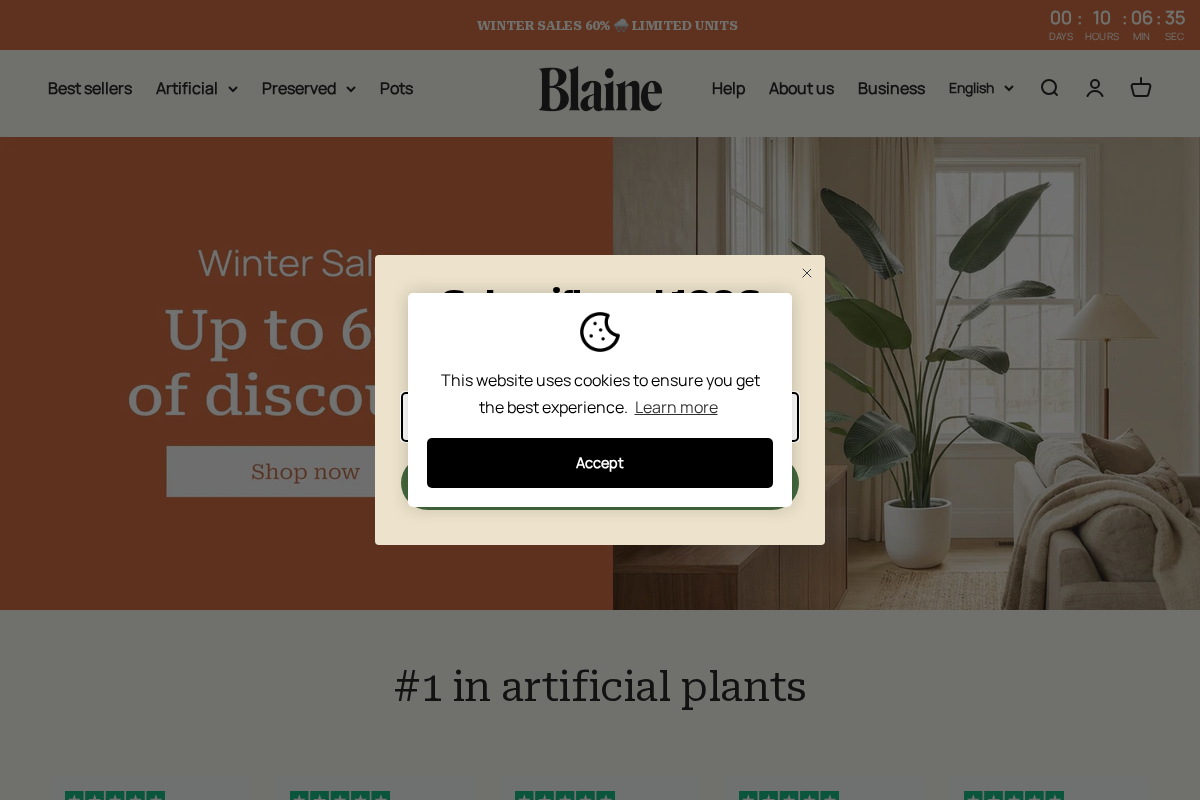 BLAINE homepage screenshot