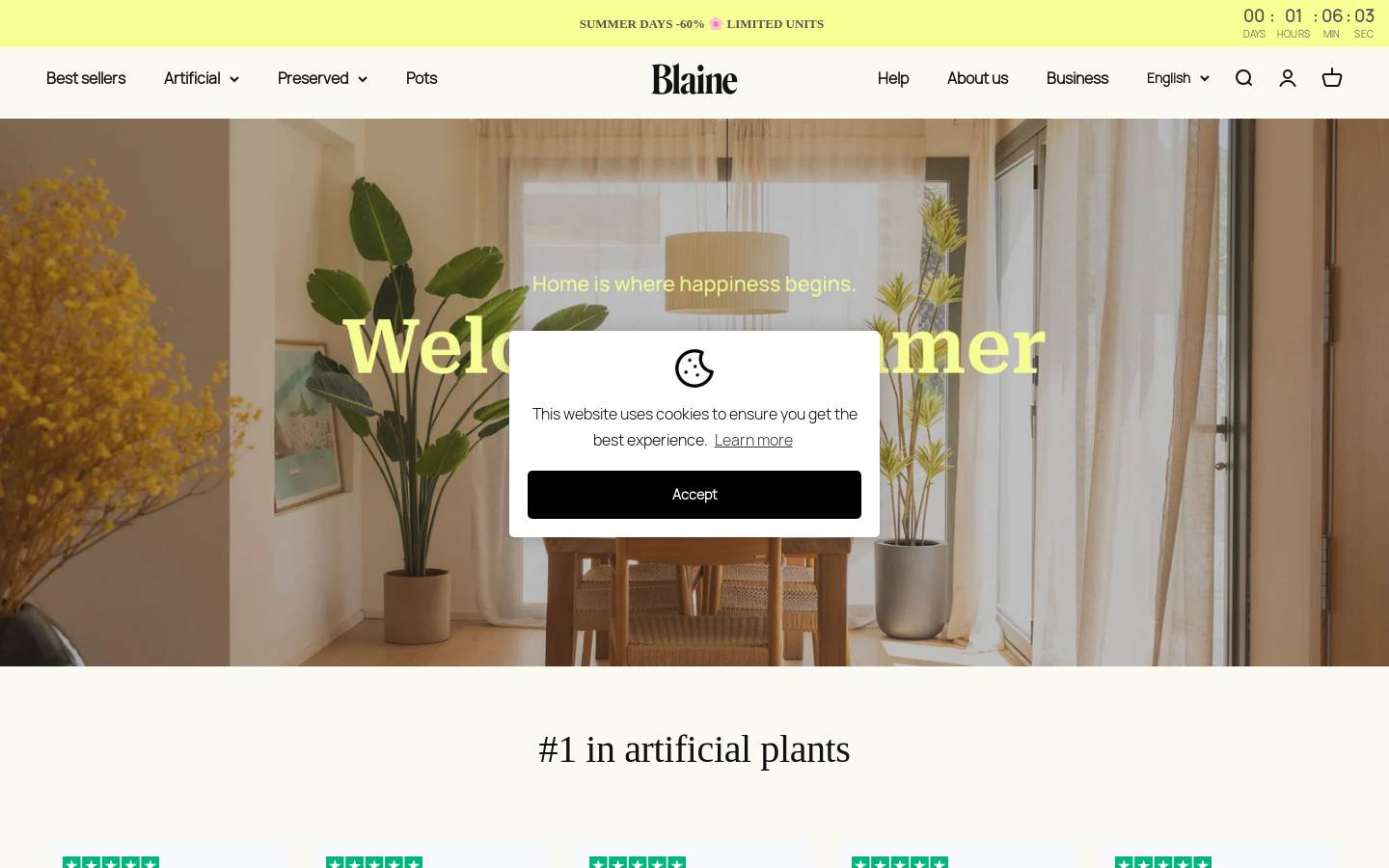 BLAINE homepage screenshot