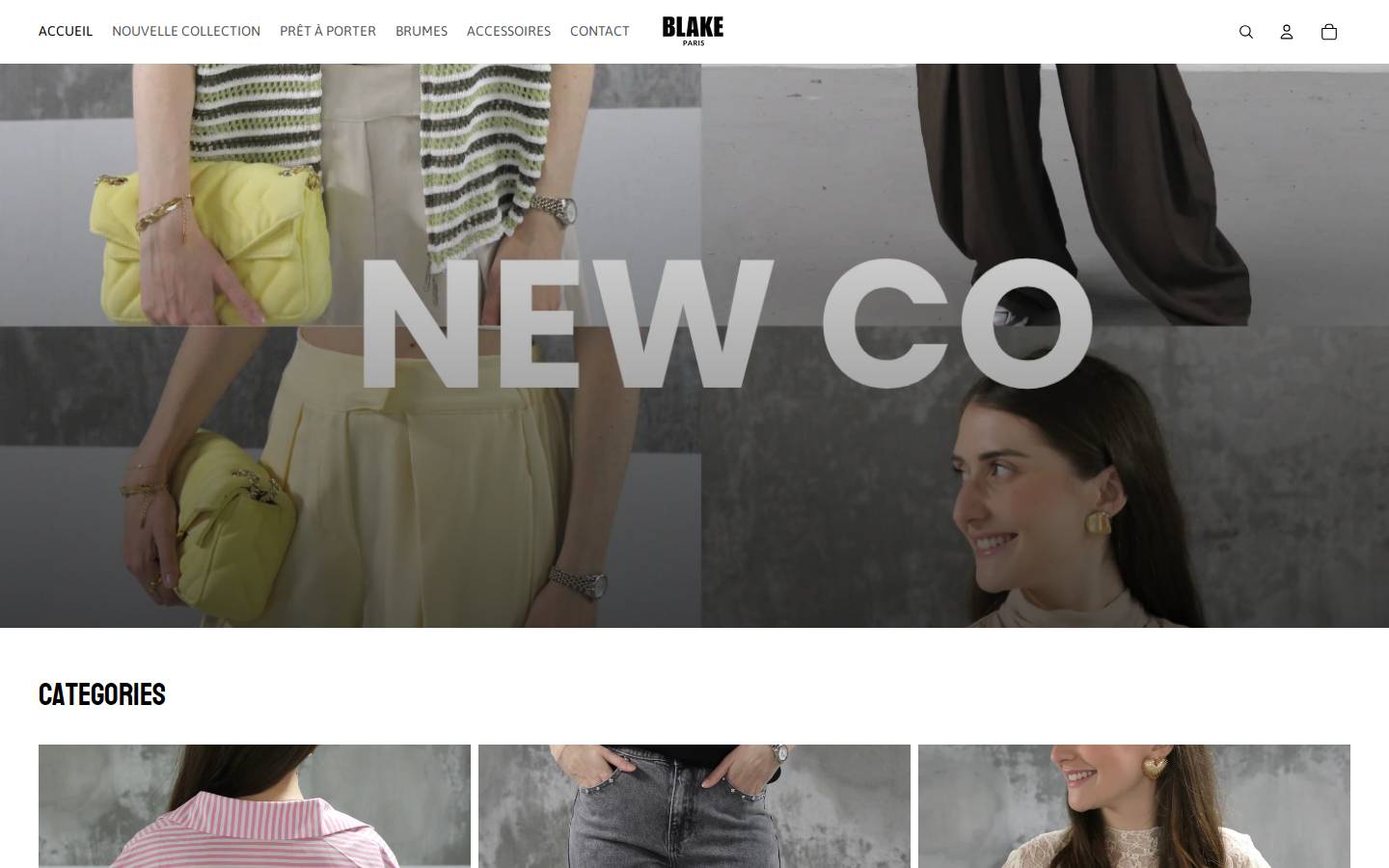 blake.paris homepage screenshot
