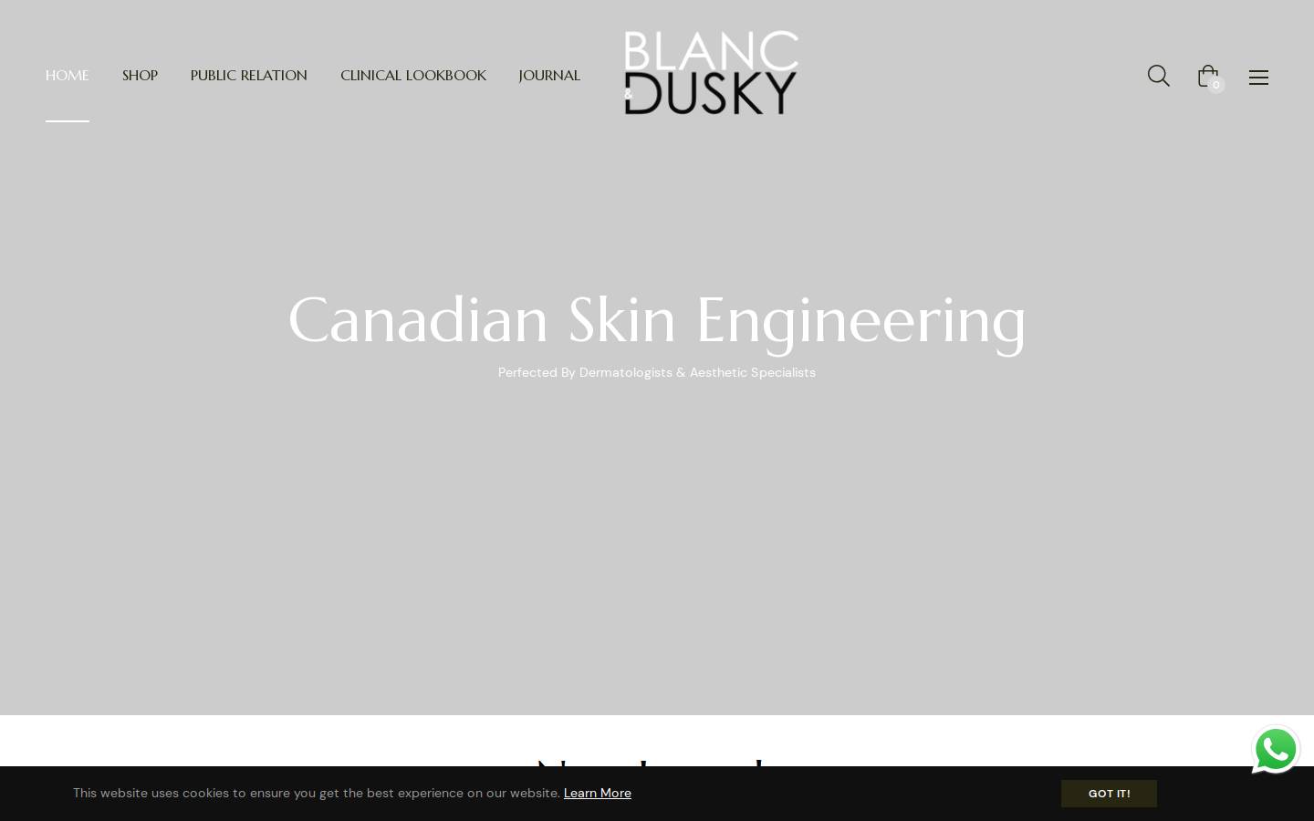 blancdusky.com homepage screenshot
