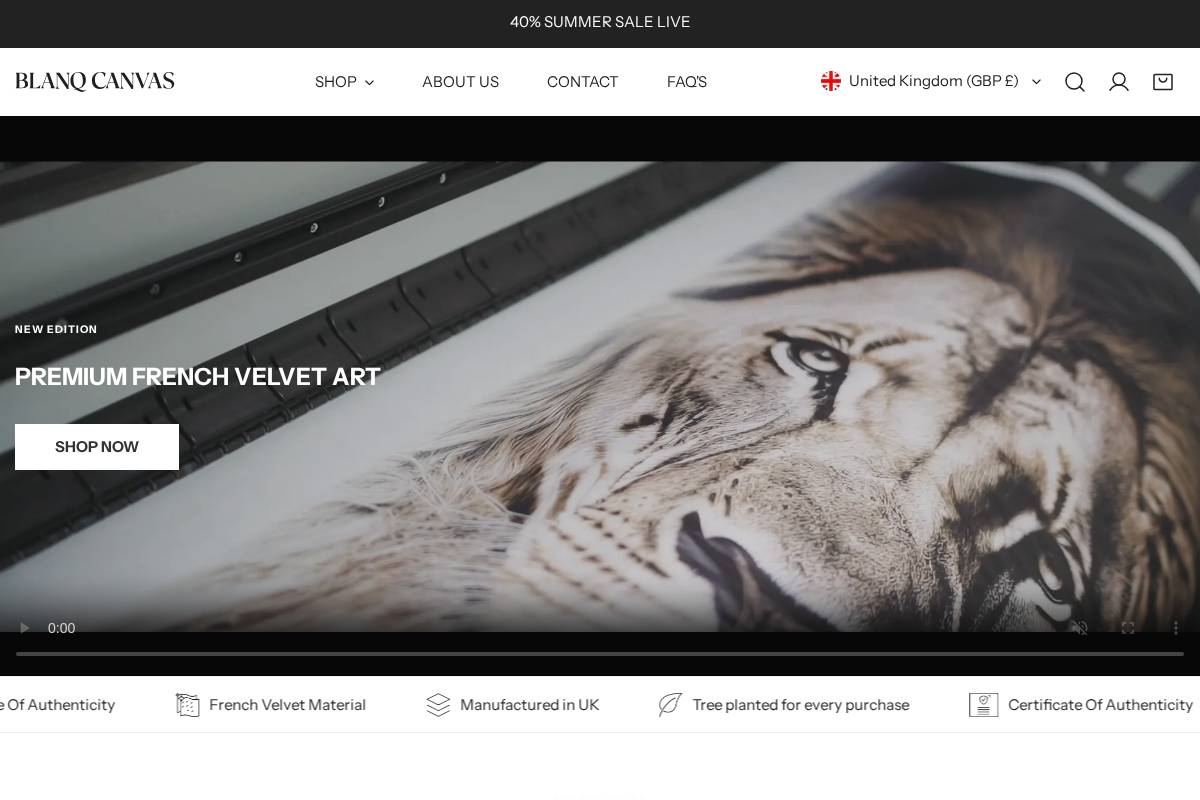 blanqcanvas.co.uk homepage screenshot