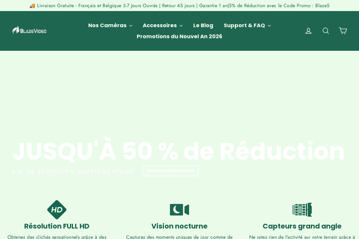 BlazeVideo France homepage screenshot