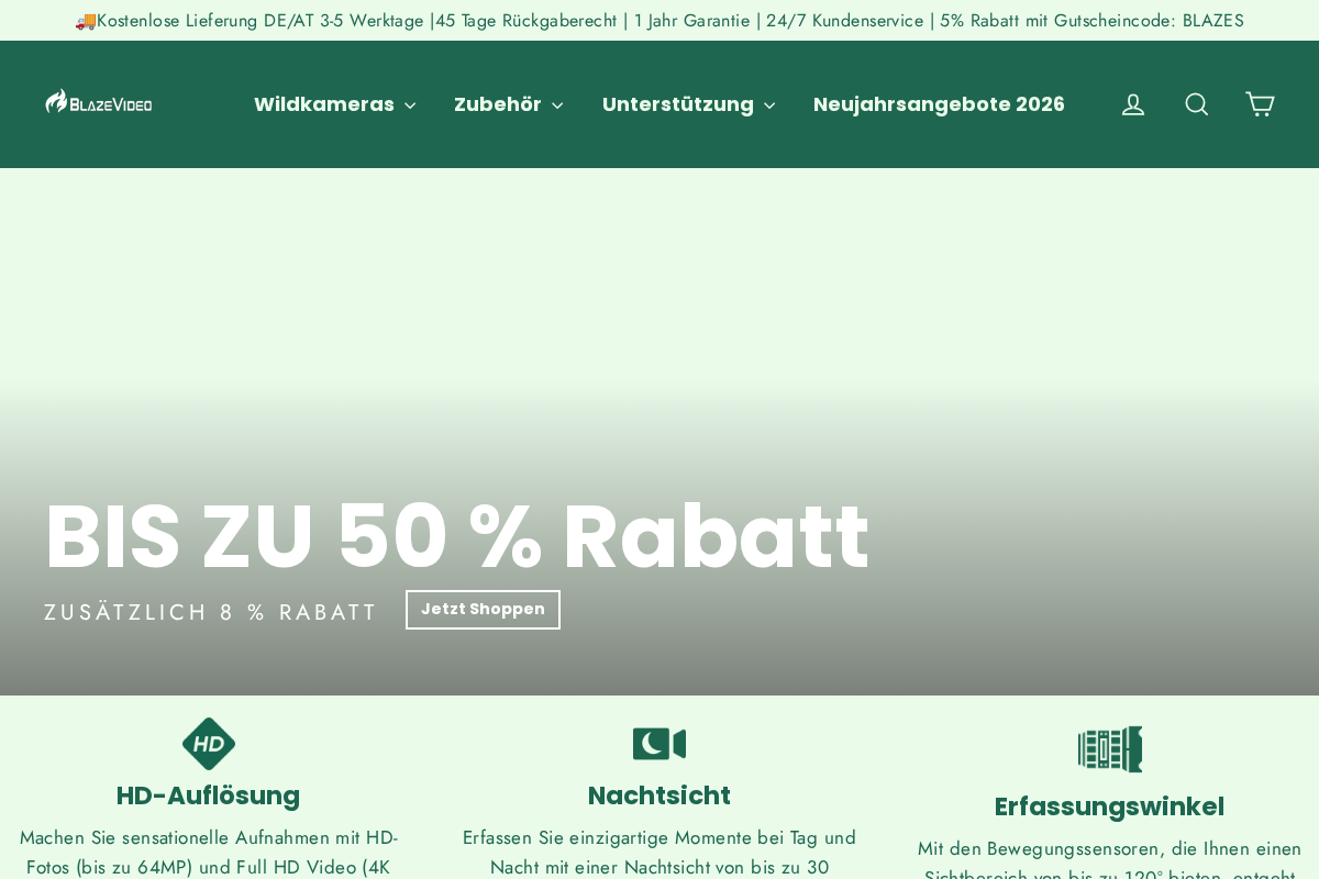 BlazeVideo Germany homepage screenshot