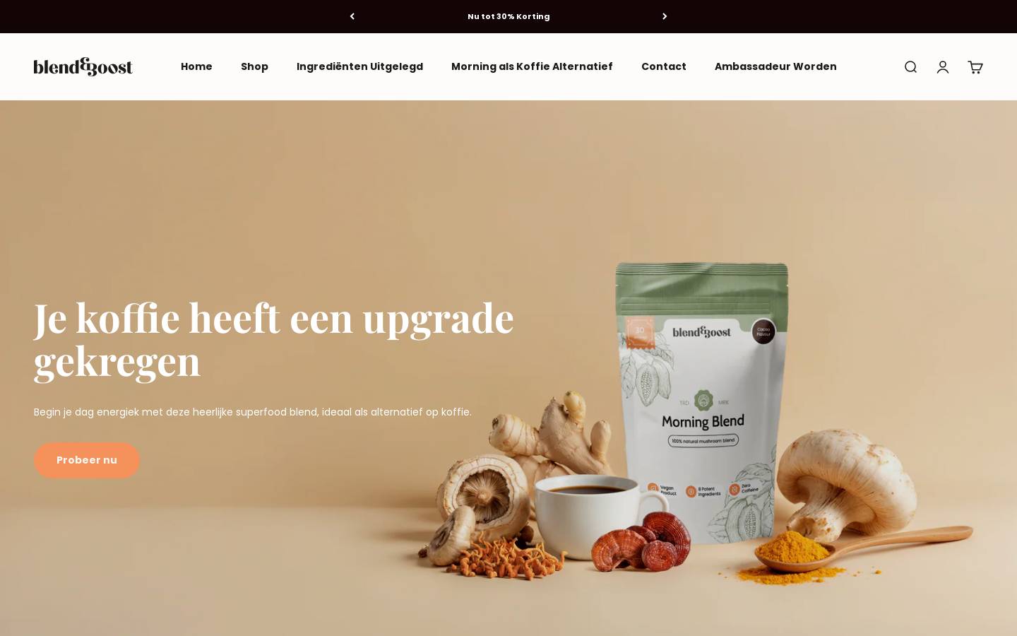 Blend Boost homepage screenshot