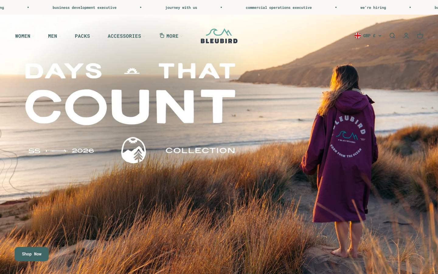 Bleubird homepage screenshot