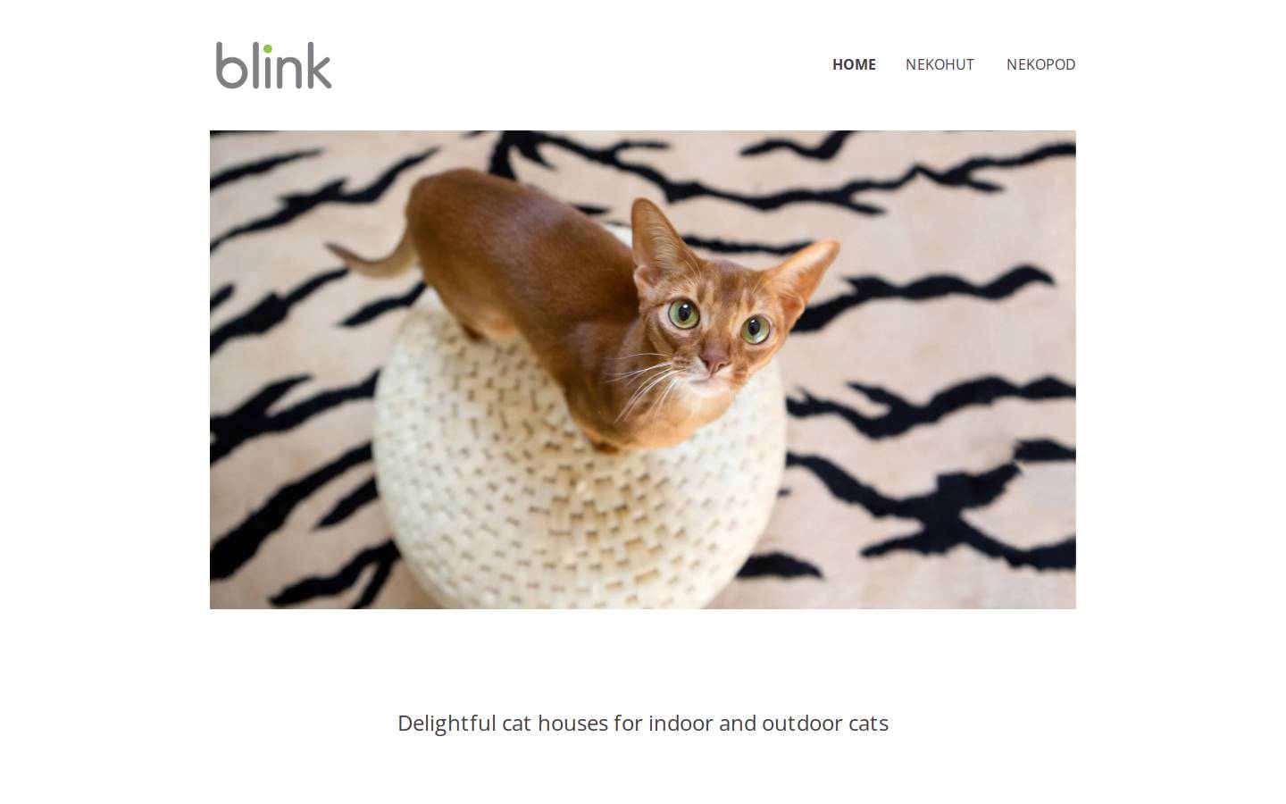 blinkpet.com homepage screenshot