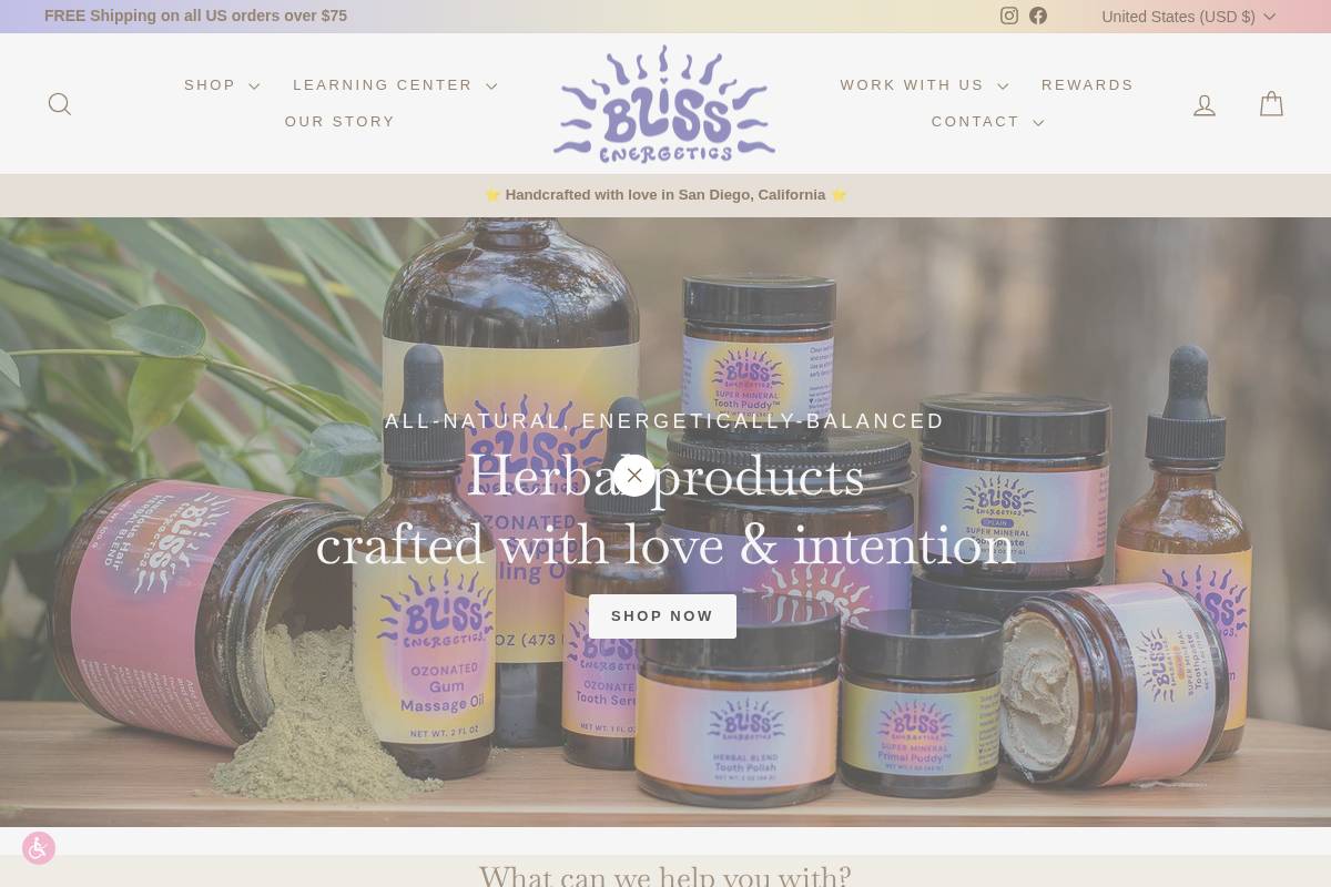 blissenergetics.com homepage screenshot