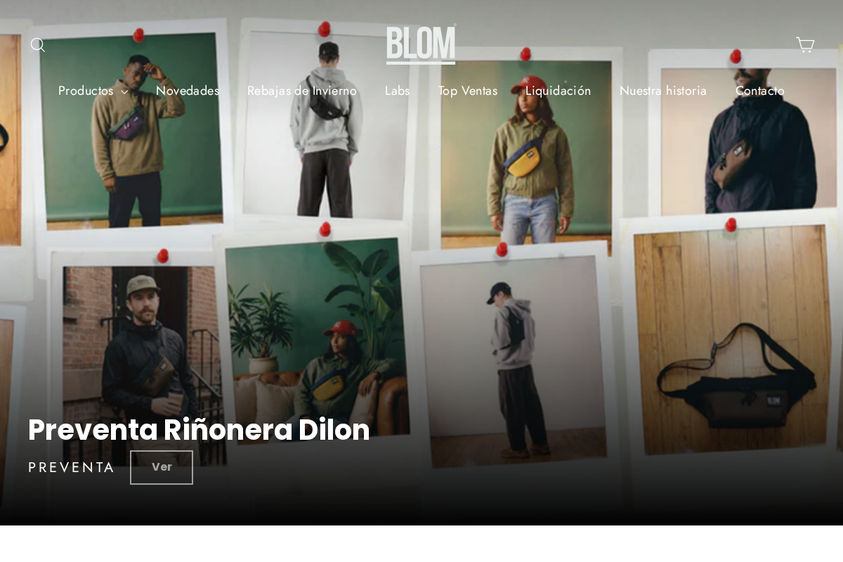 Blom Brand homepage screenshot