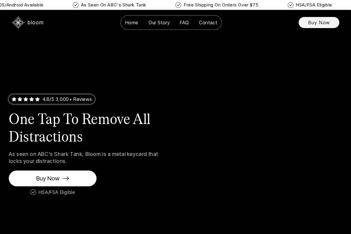 bloom.inc homepage screenshot
