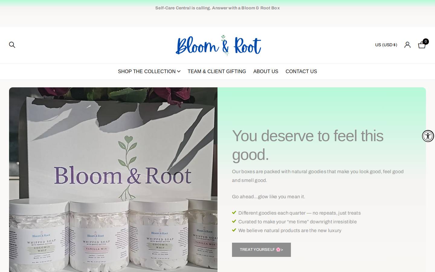 bloomandrootbox.com homepage screenshot