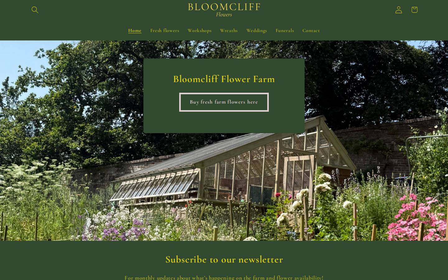 bloomcliff.com homepage screenshot