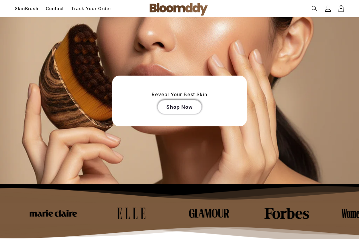 Bloomddy homepage screenshot