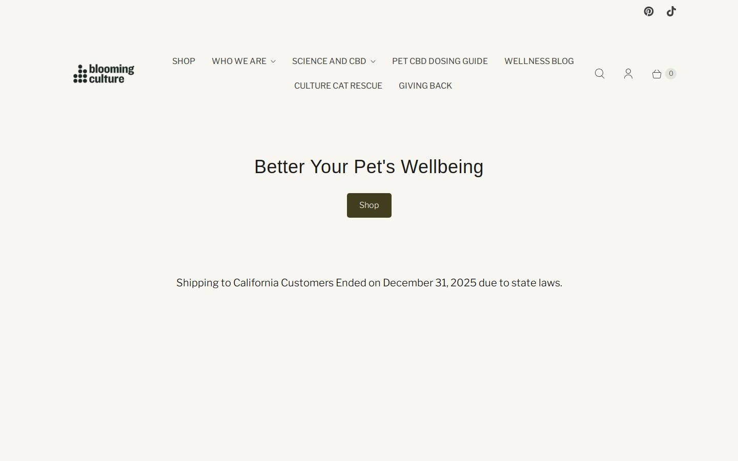 bloomingculture.com homepage screenshot