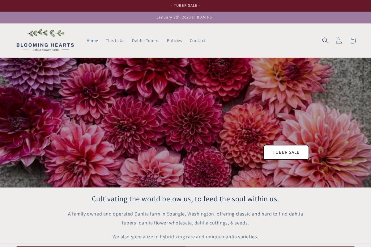 bloomingheartswa.com homepage screenshot