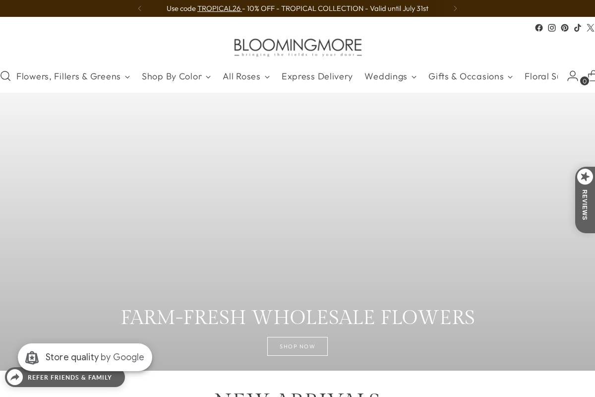 bloomingmore.com homepage screenshot