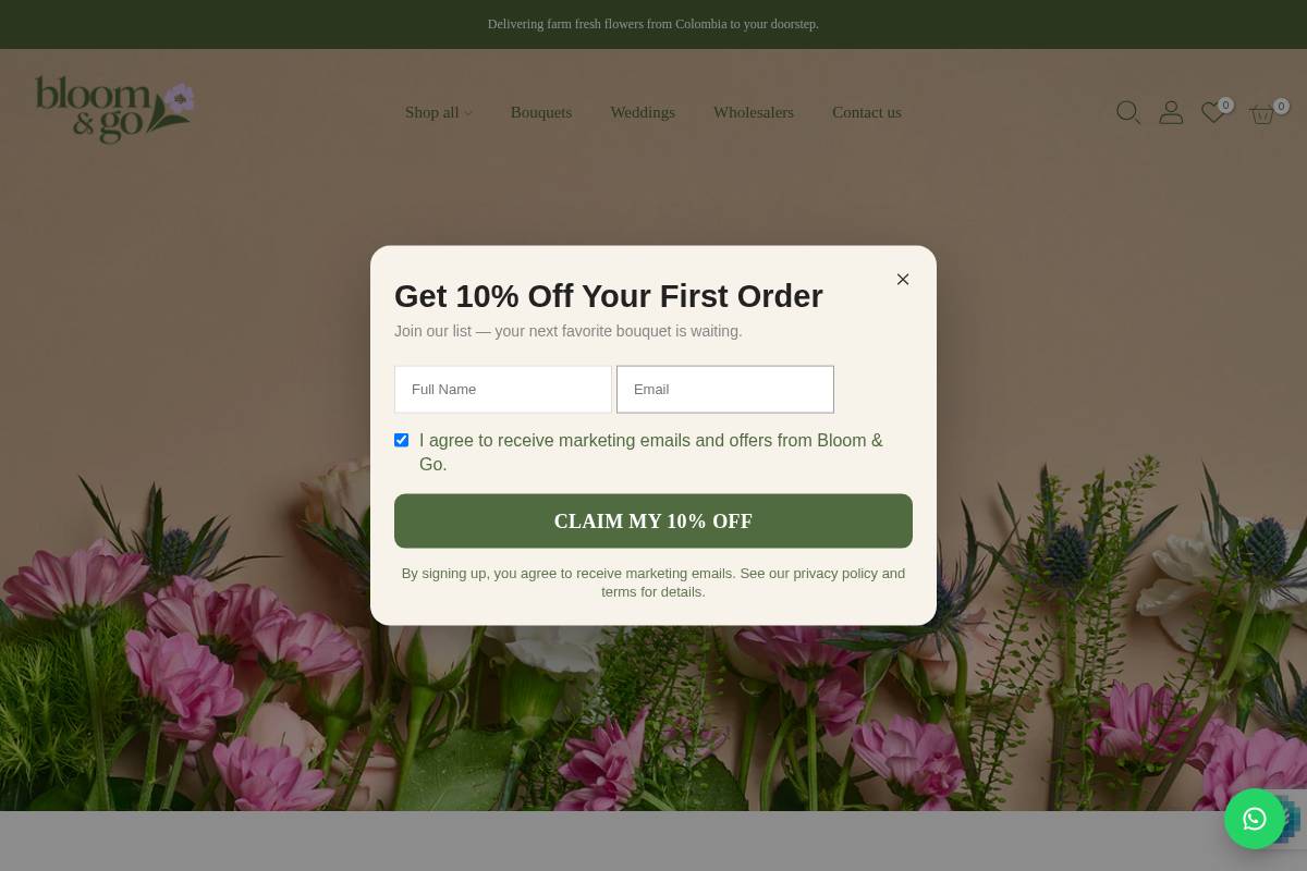 Bloom & Go homepage screenshot