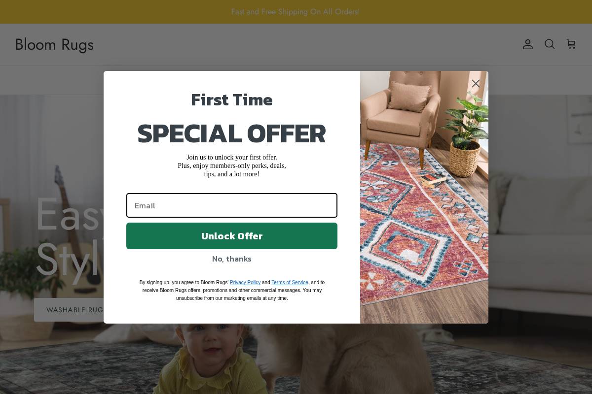 bloomrugs.com homepage screenshot