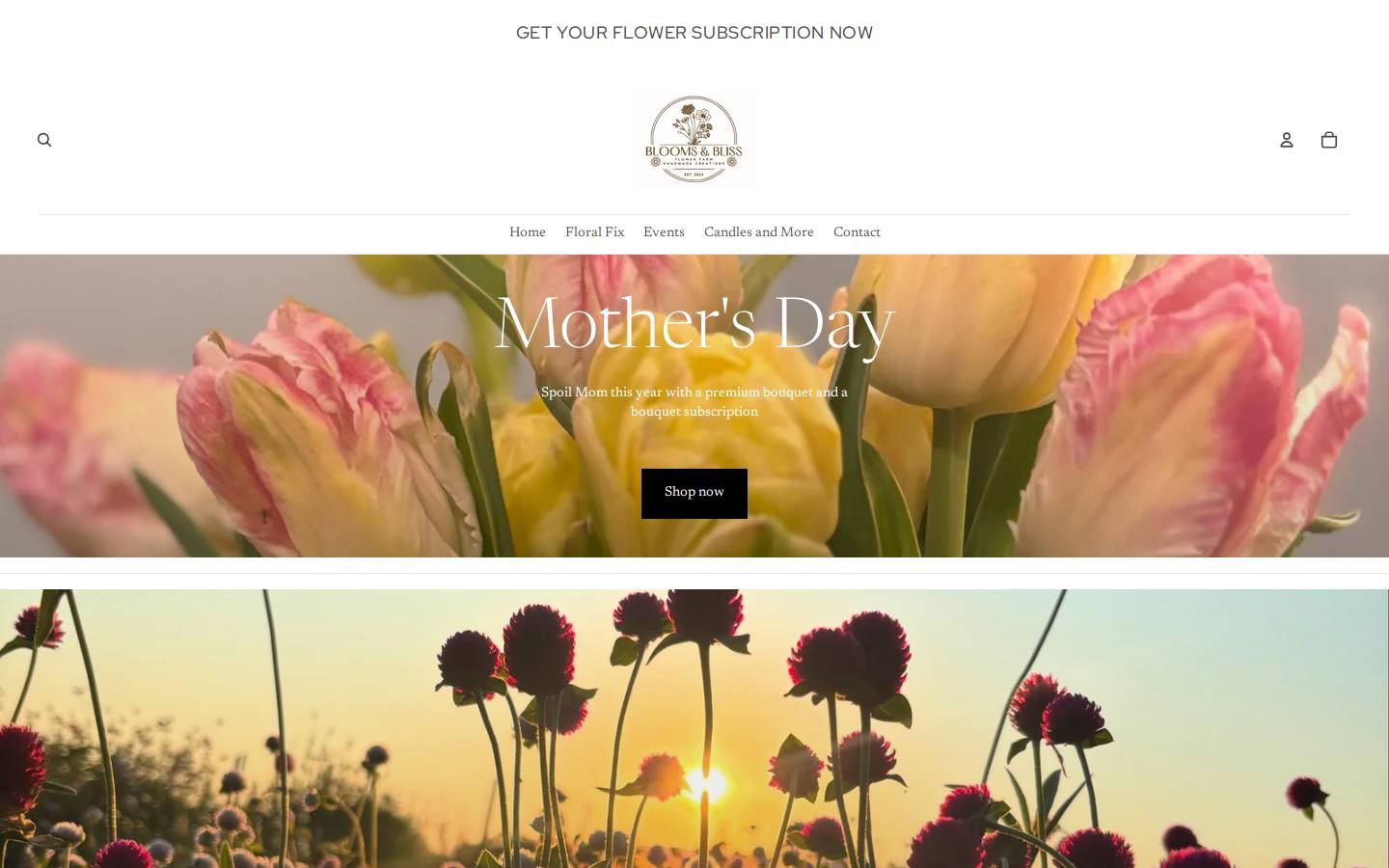 bloomsandbliss3.com homepage screenshot