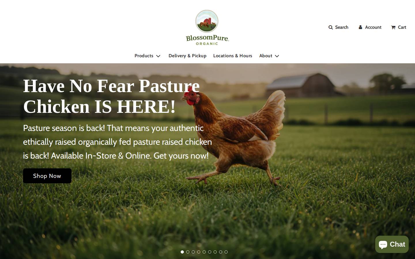 blossompure.com homepage screenshot