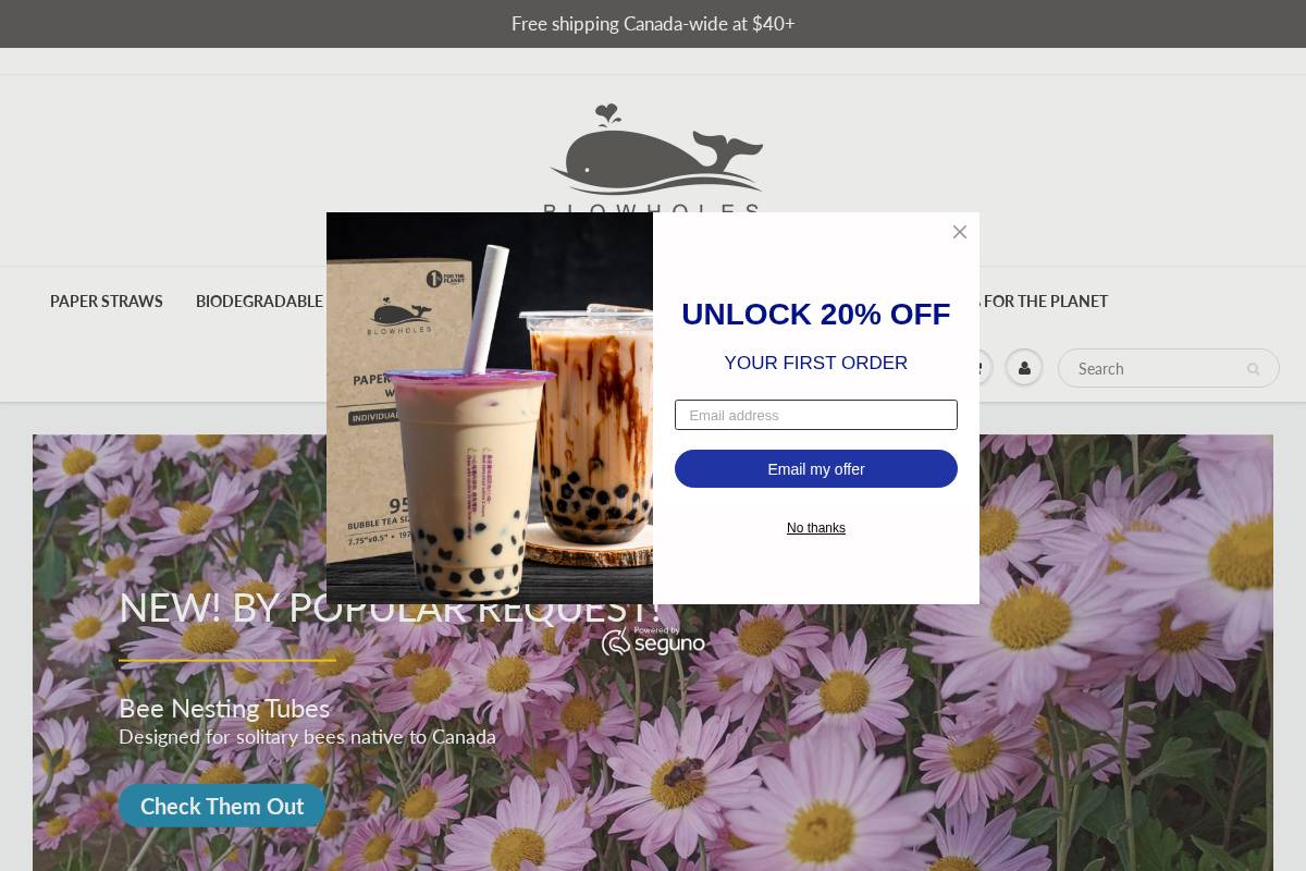 blowholes.ca homepage screenshot