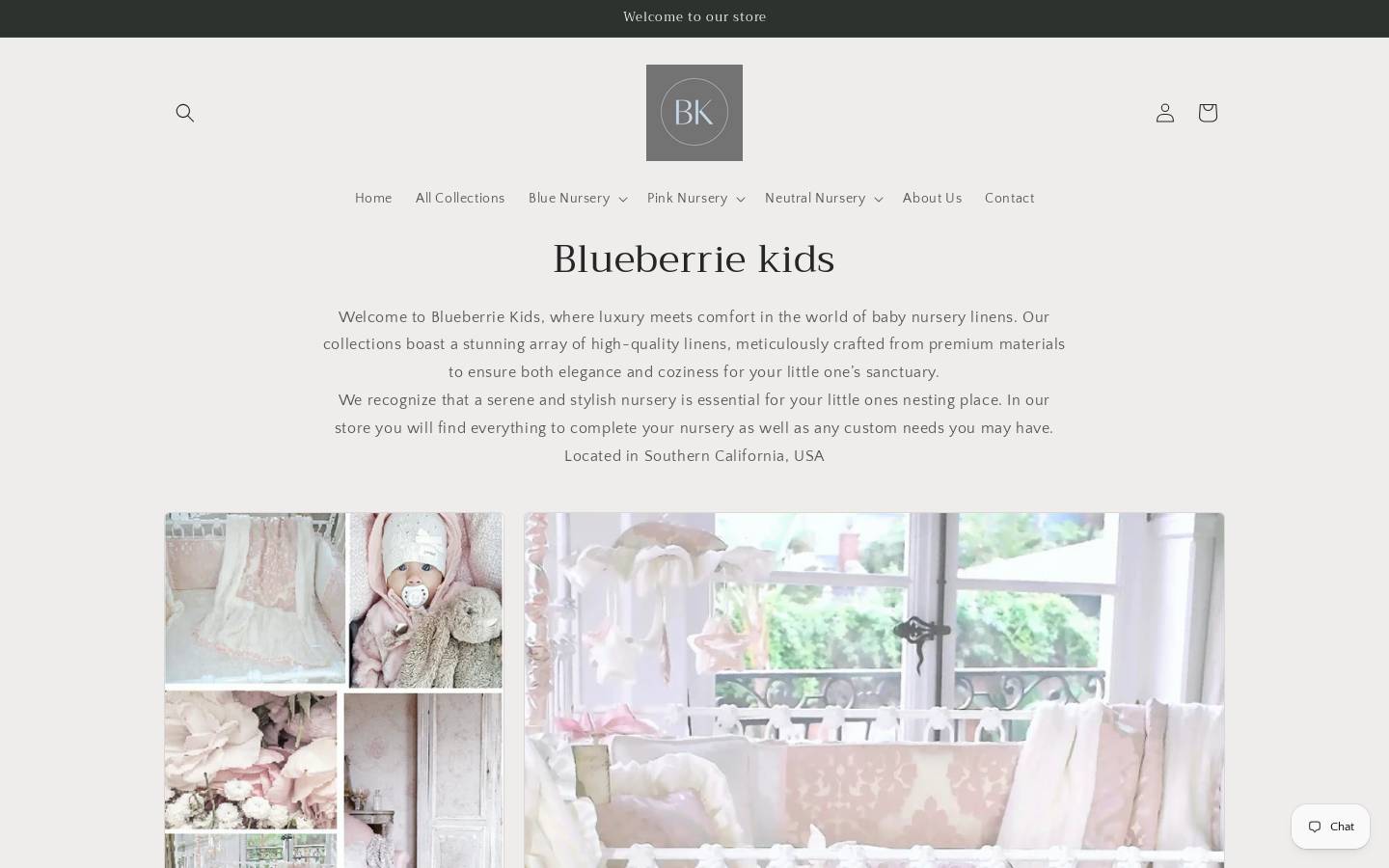 blueberriekids.com homepage screenshot