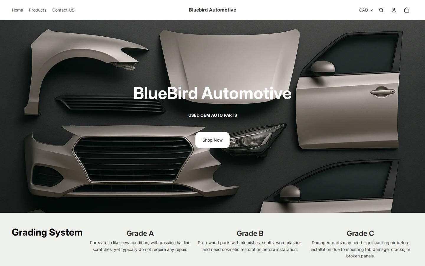 bluebirdautomotive.ca homepage screenshot
