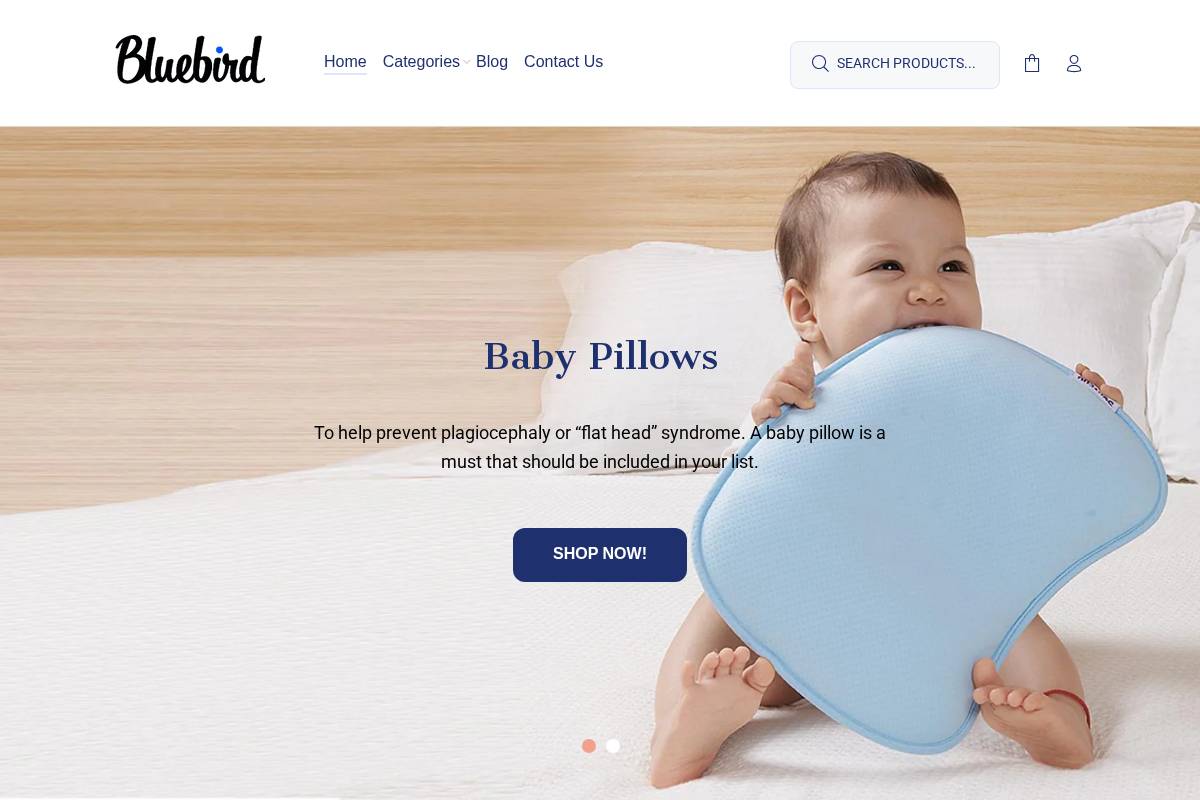 BlueBird Baby homepage screenshot
