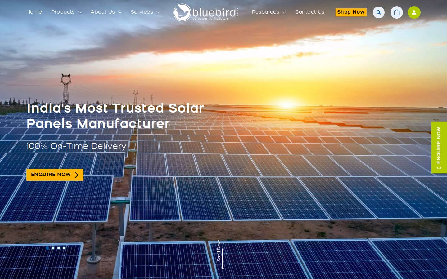 bluebirdsolar.com homepage screenshot