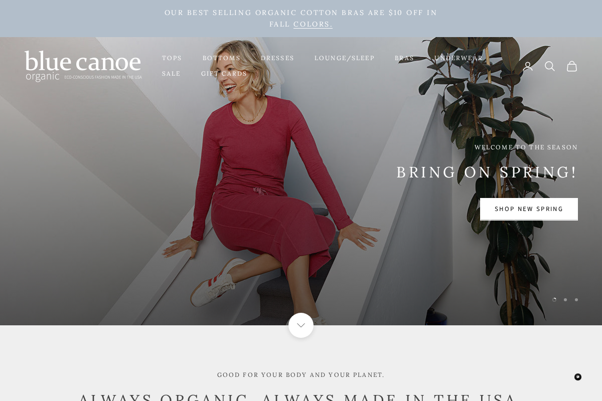 Blue Canoe homepage screenshot