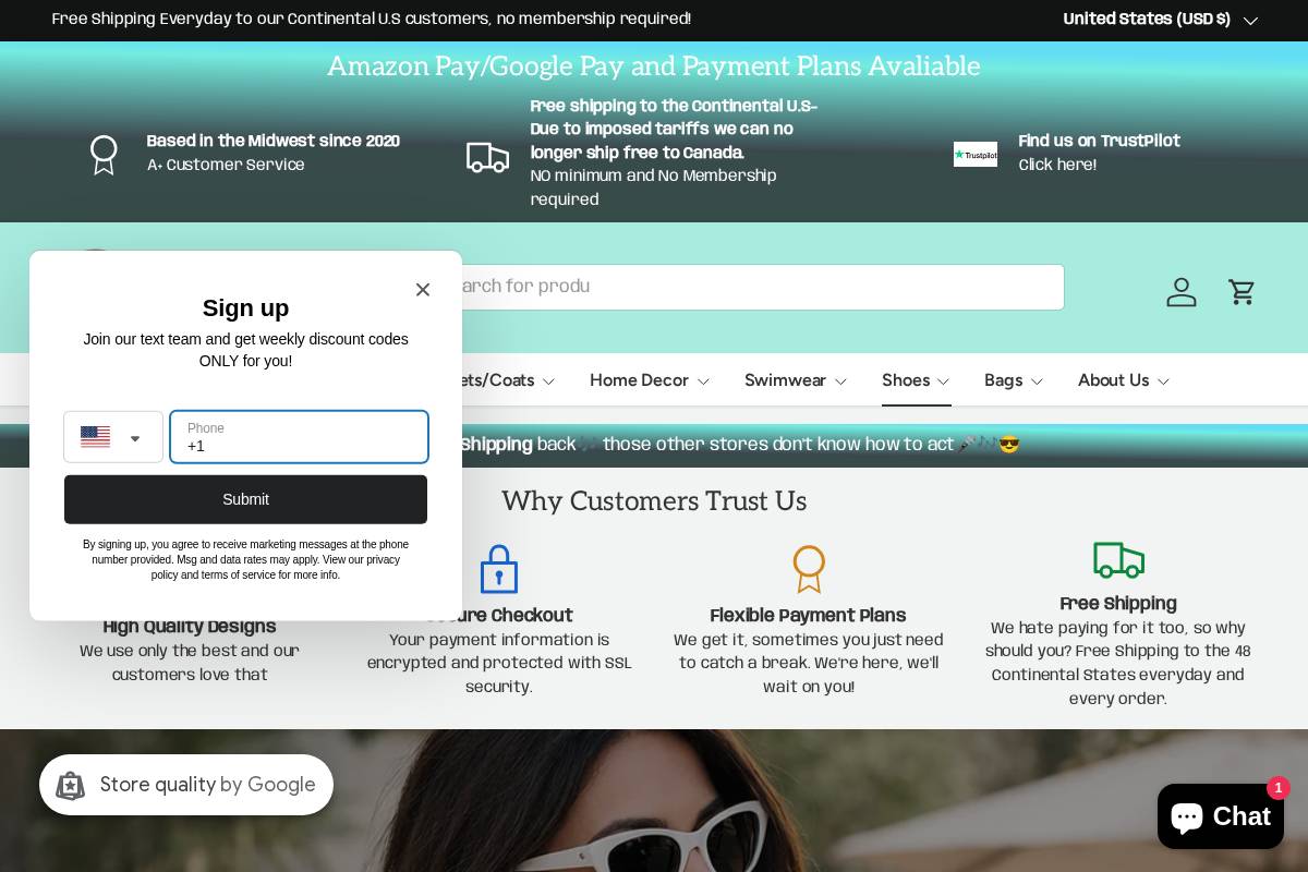 Blue Chico homepage screenshot