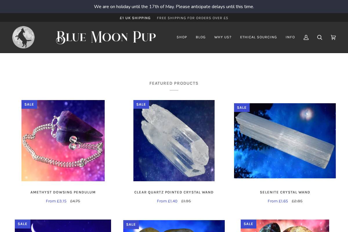 bluemoonpup.com homepage screenshot