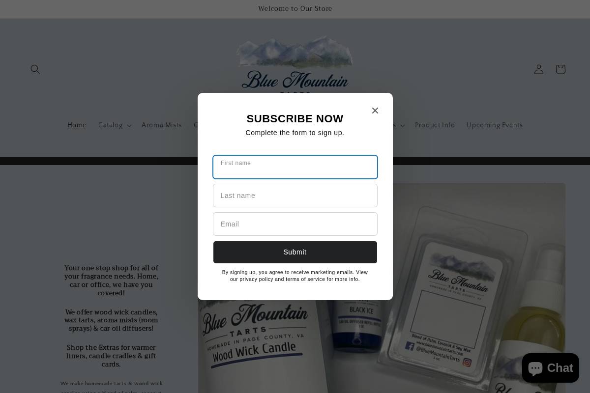 bluemountaintarts.com homepage screenshot